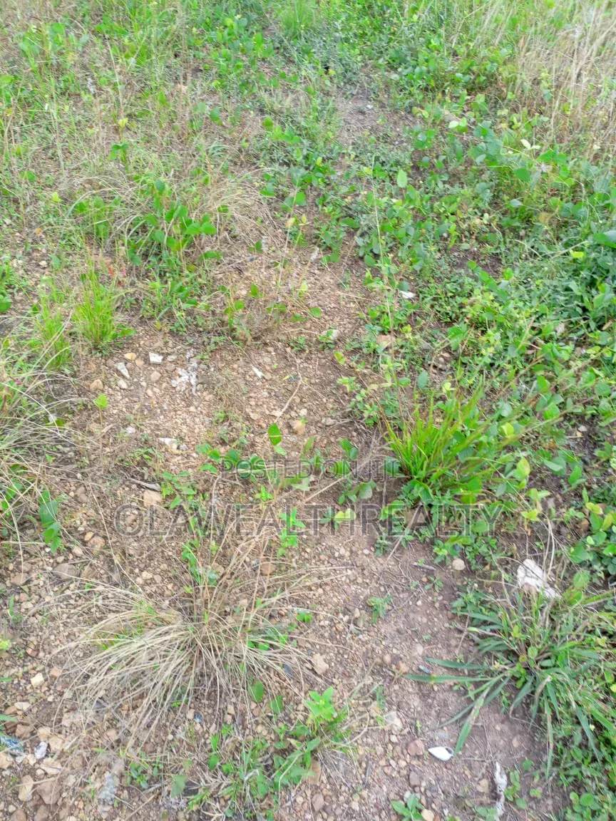 A Plot of Land at Orchid Road, Lekki in Lekki Expressway