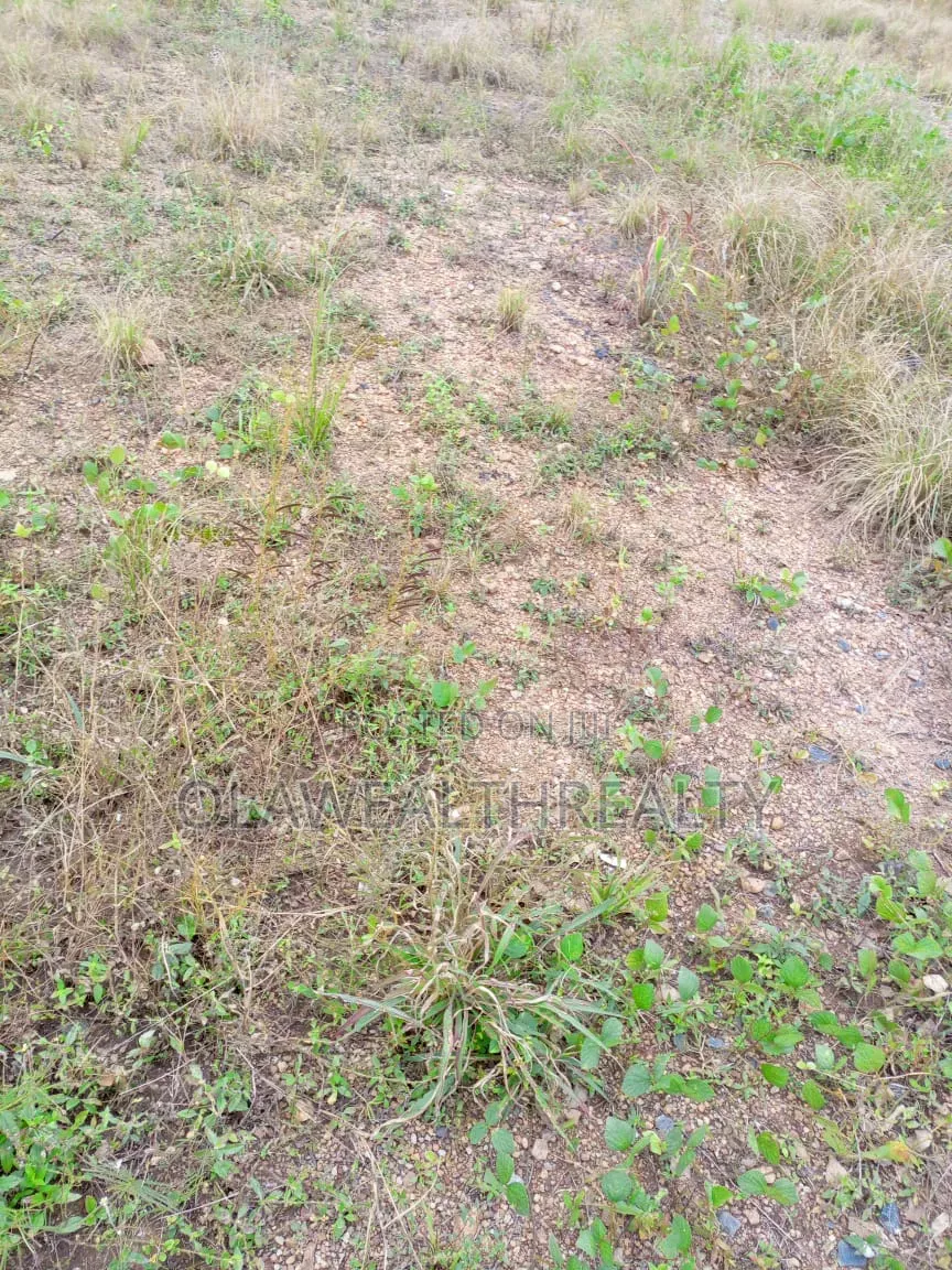 410sqm Residential Plot At Ilupeju in Bye Pass Ilupeju