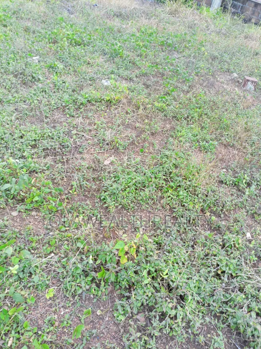 410sqm Residential Plot At Ilupeju in Bye Pass Ilupeju