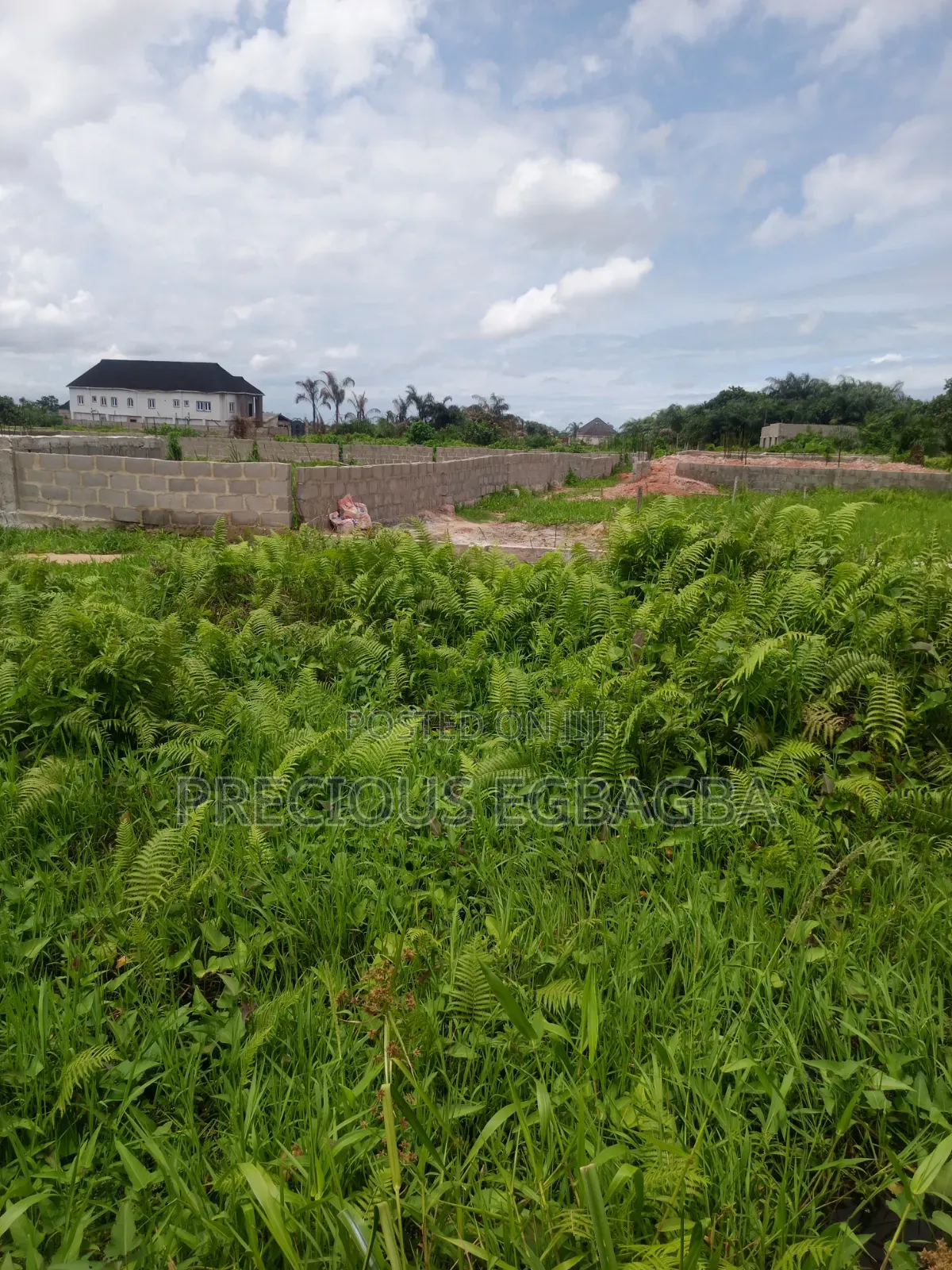 Affordable Land at Ijedodo,6 Mins Drive From Jackande Estate Isolo in Isolo