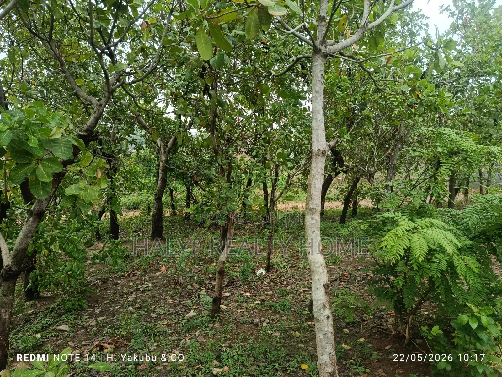 Plot of Land in Dakibiyu