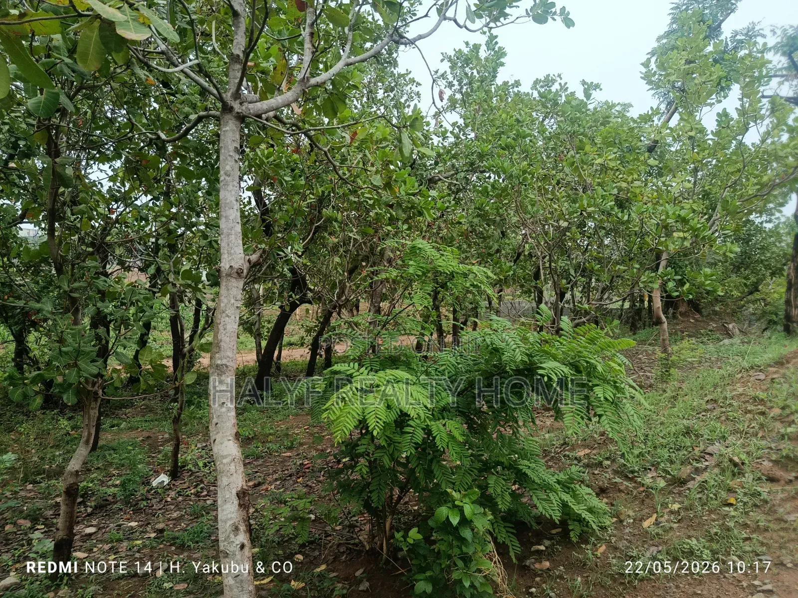 Plot of Land in Dakibiyu