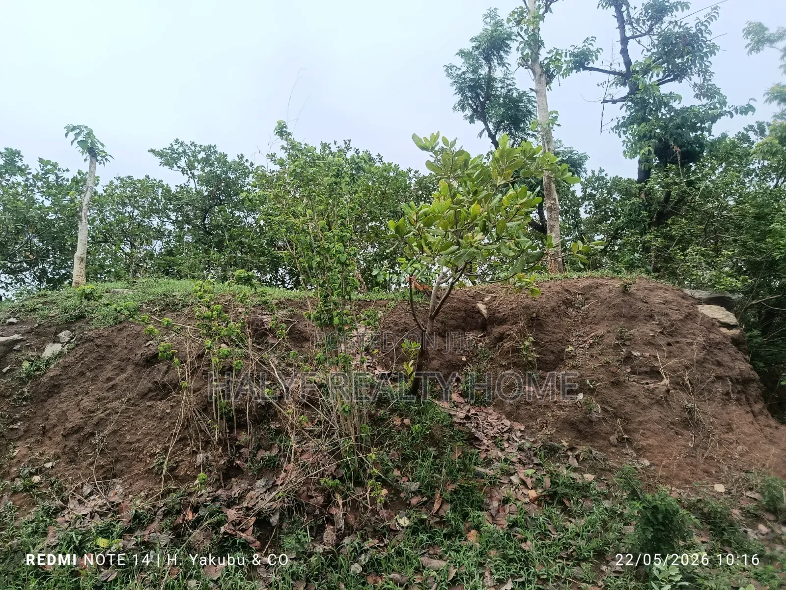 Plot of Land in Dakibiyu