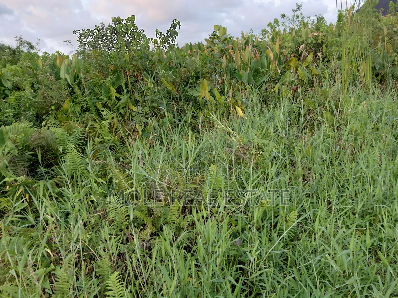 826sqm Cornerpiece Joints Venture ( Jv) Leki Fureshore Lagost in Lekki Phase 1