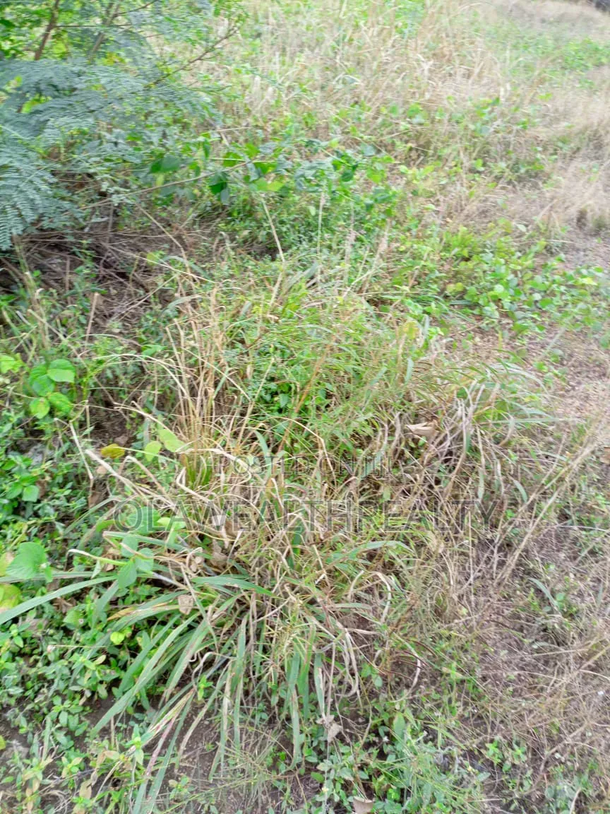 385sqm Plot of Land at Kwali in Kwali
