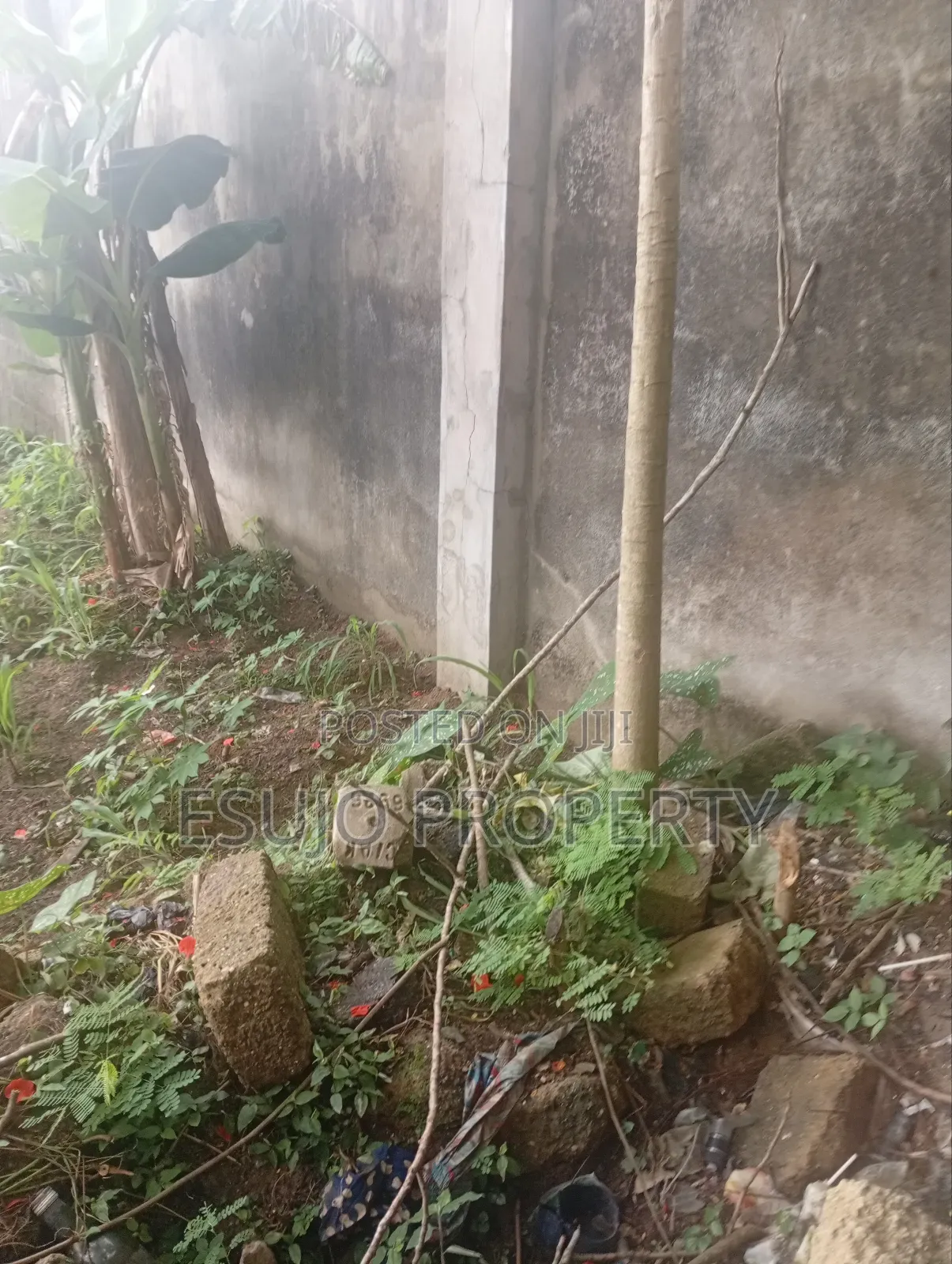 Distress Sale in Uyo