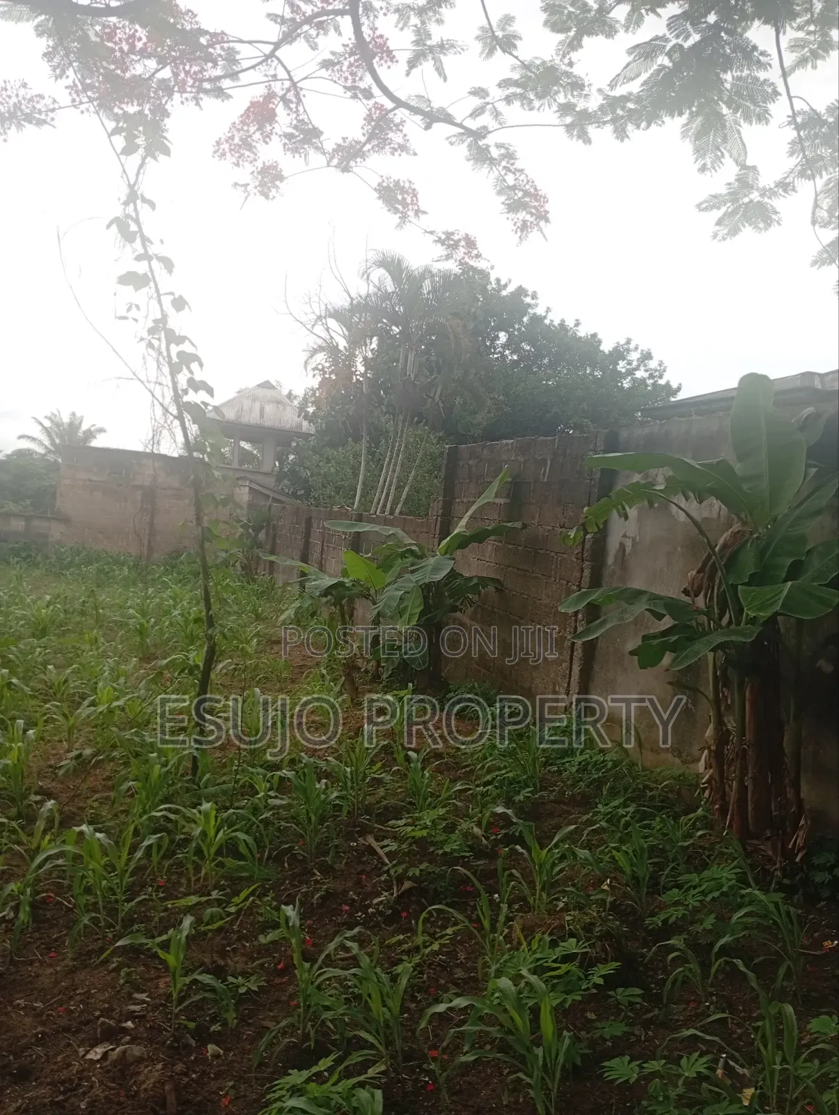 Distress Sale in Uyo