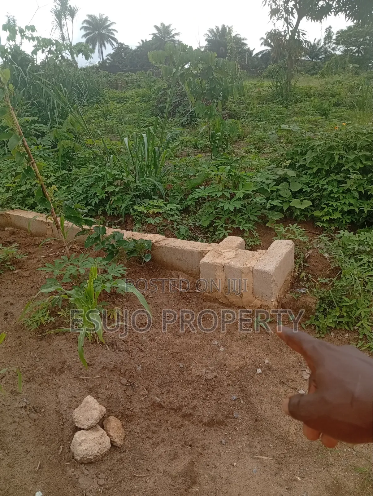 Distress Sales in Uyo