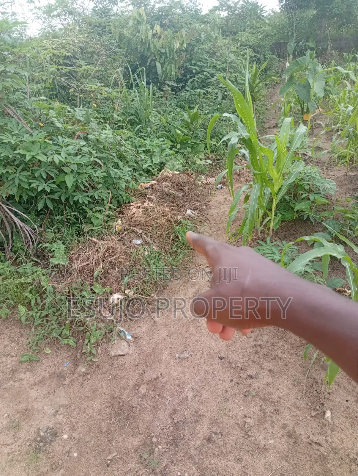 Distress Sales in Uyo