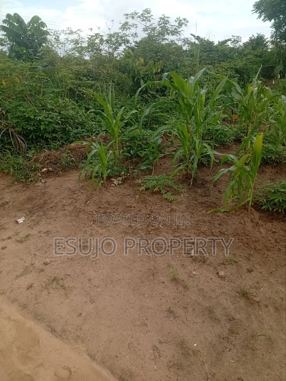 Distress Sales in Uyo