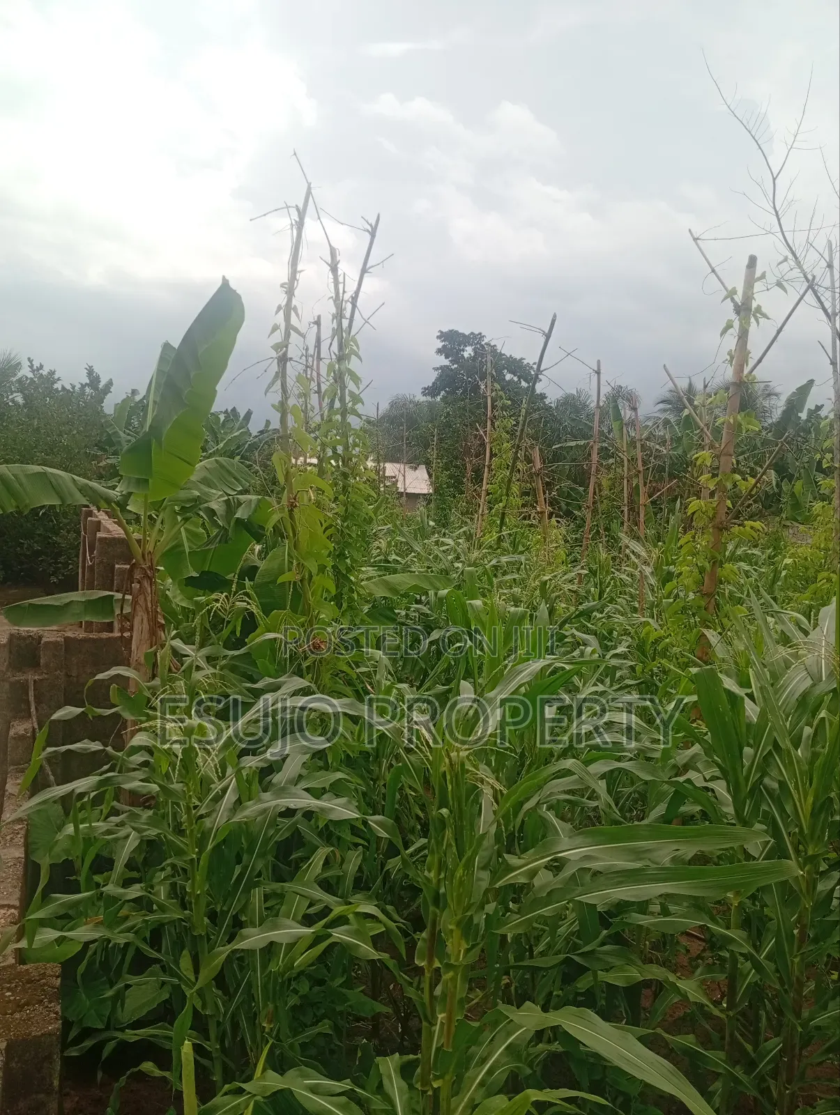 Distress Sales in Uyo