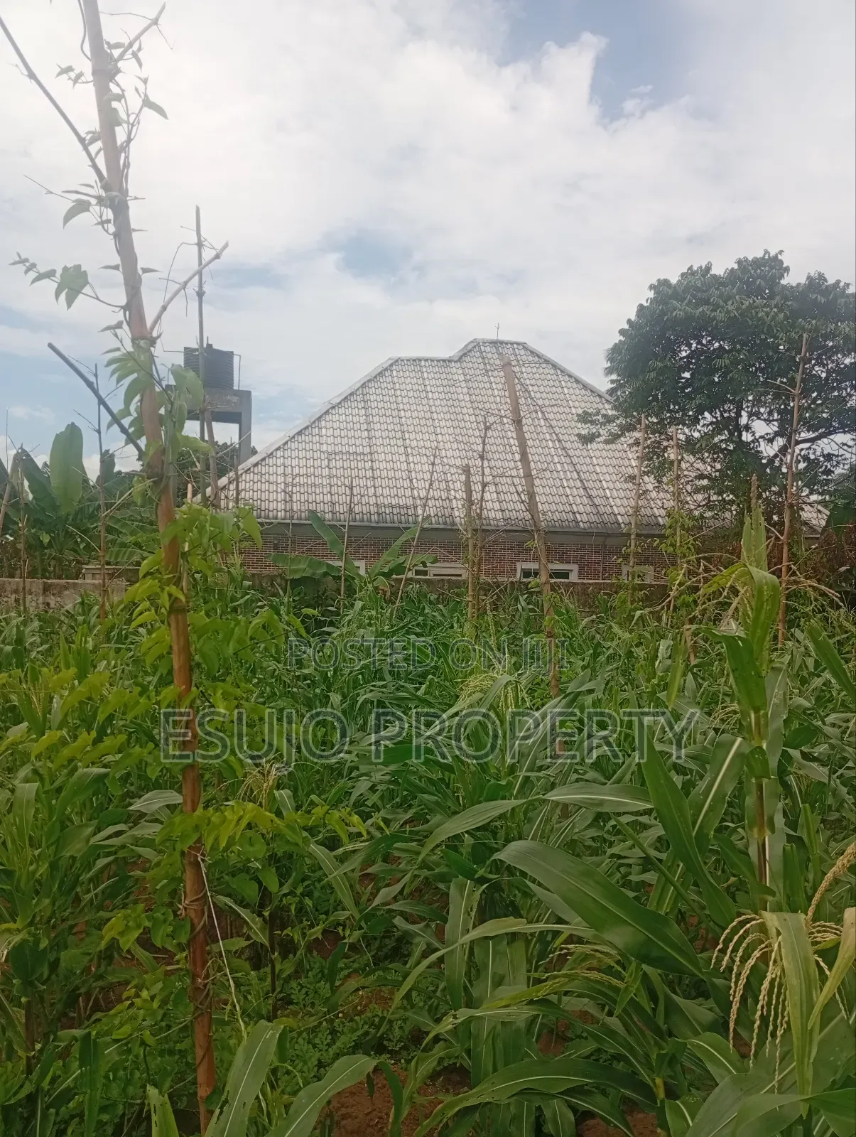 Distress Sales in Uyo