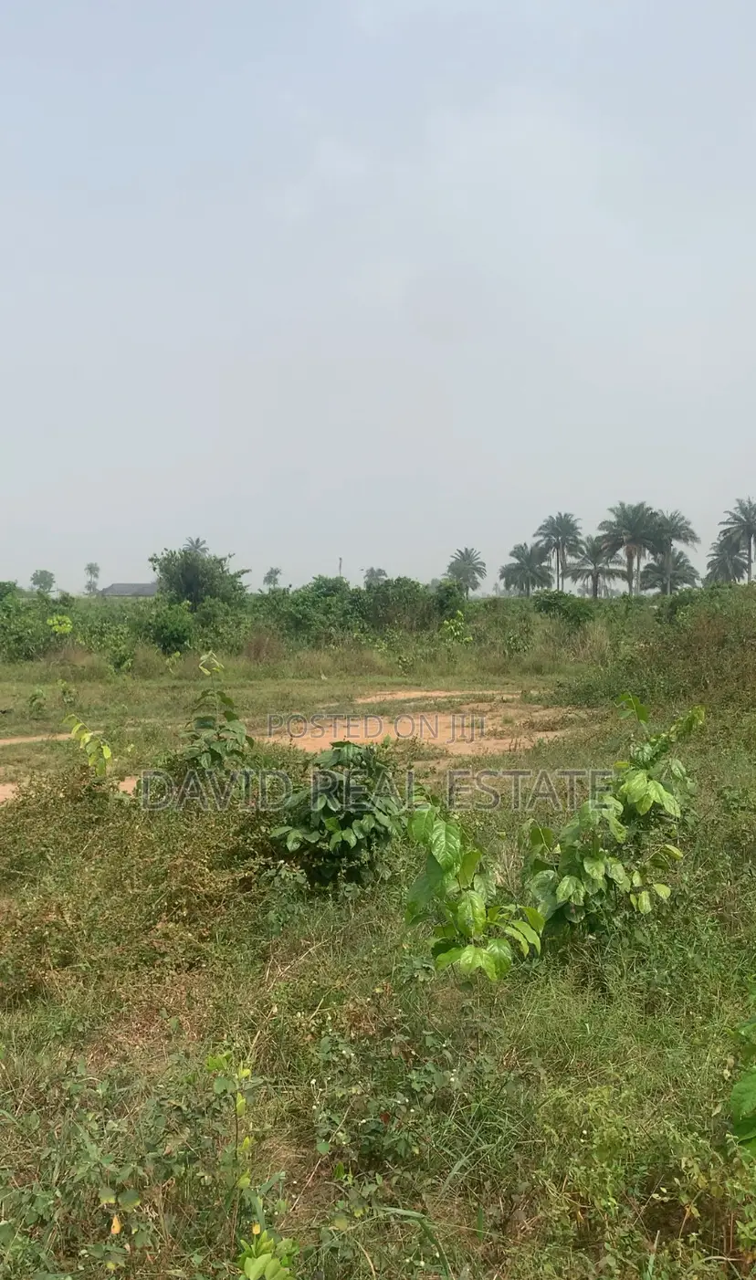 Buy Build Plots for Sale — Off Eneka Link Road, Port Harcourt in Eneka