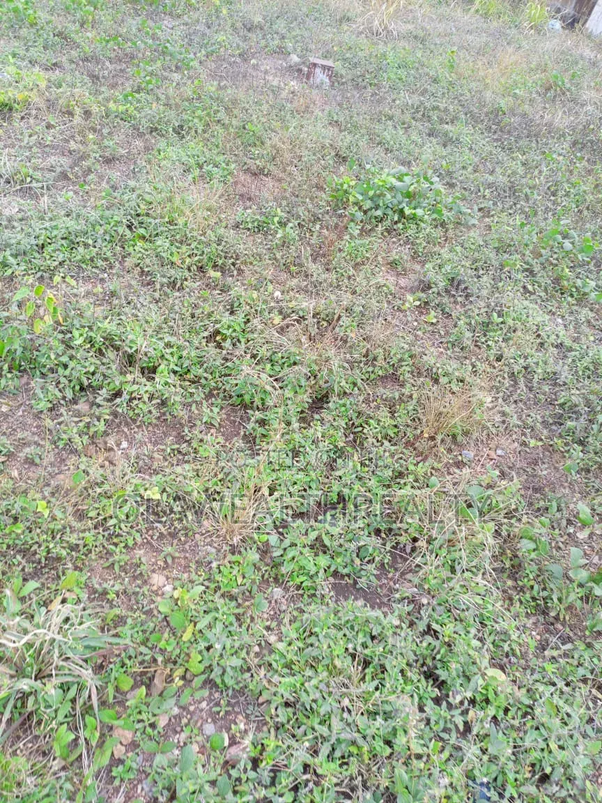 893sqm Residential Land at Apo Dutse in Dutse-Alhaji