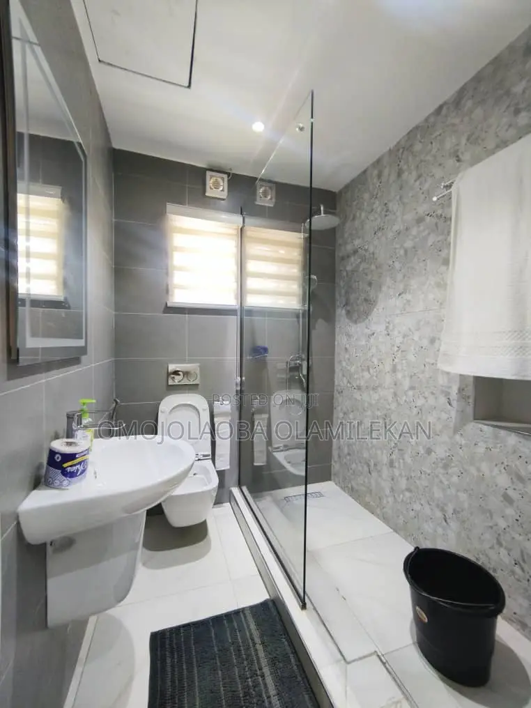 Furnished 1bdrm Apartment in Lekki Phase 1 for rent in Lekki Phase 1