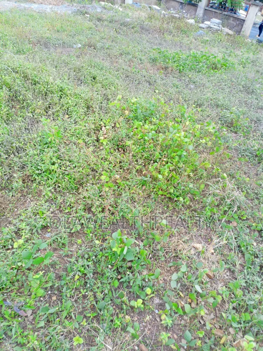 2,104sqm Residential Plot at Jahi in Jahi