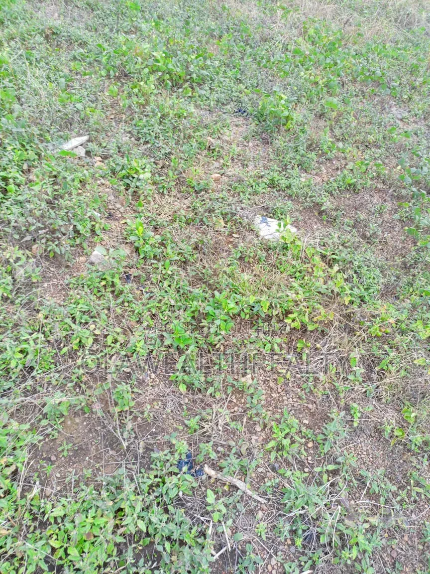 2,104sqm Residential Plot at Jahi in Jahi