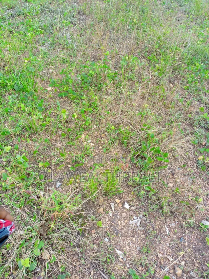 6.21 Hectares Residential Land at Wasa, Apo in Wasa