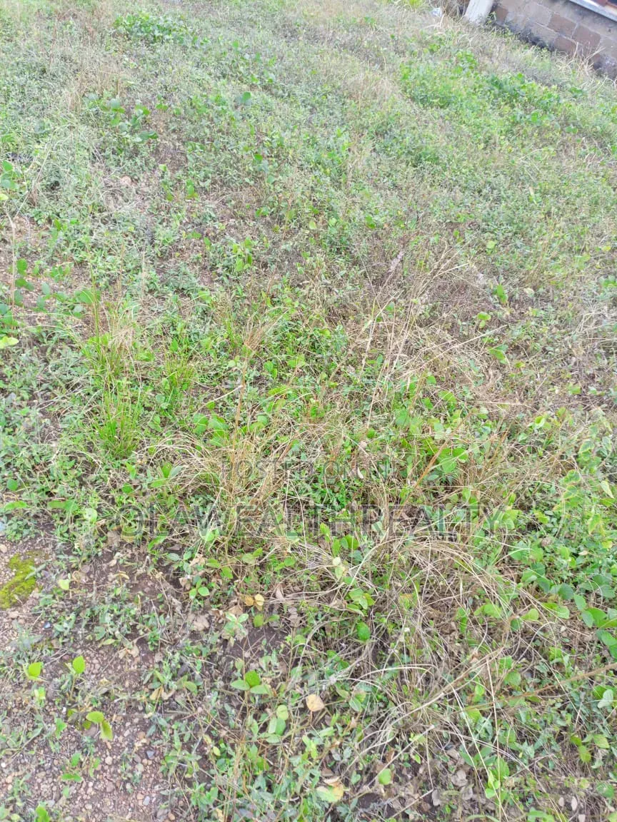6.21 Hectares Residential Land at Wasa, Apo in Wasa