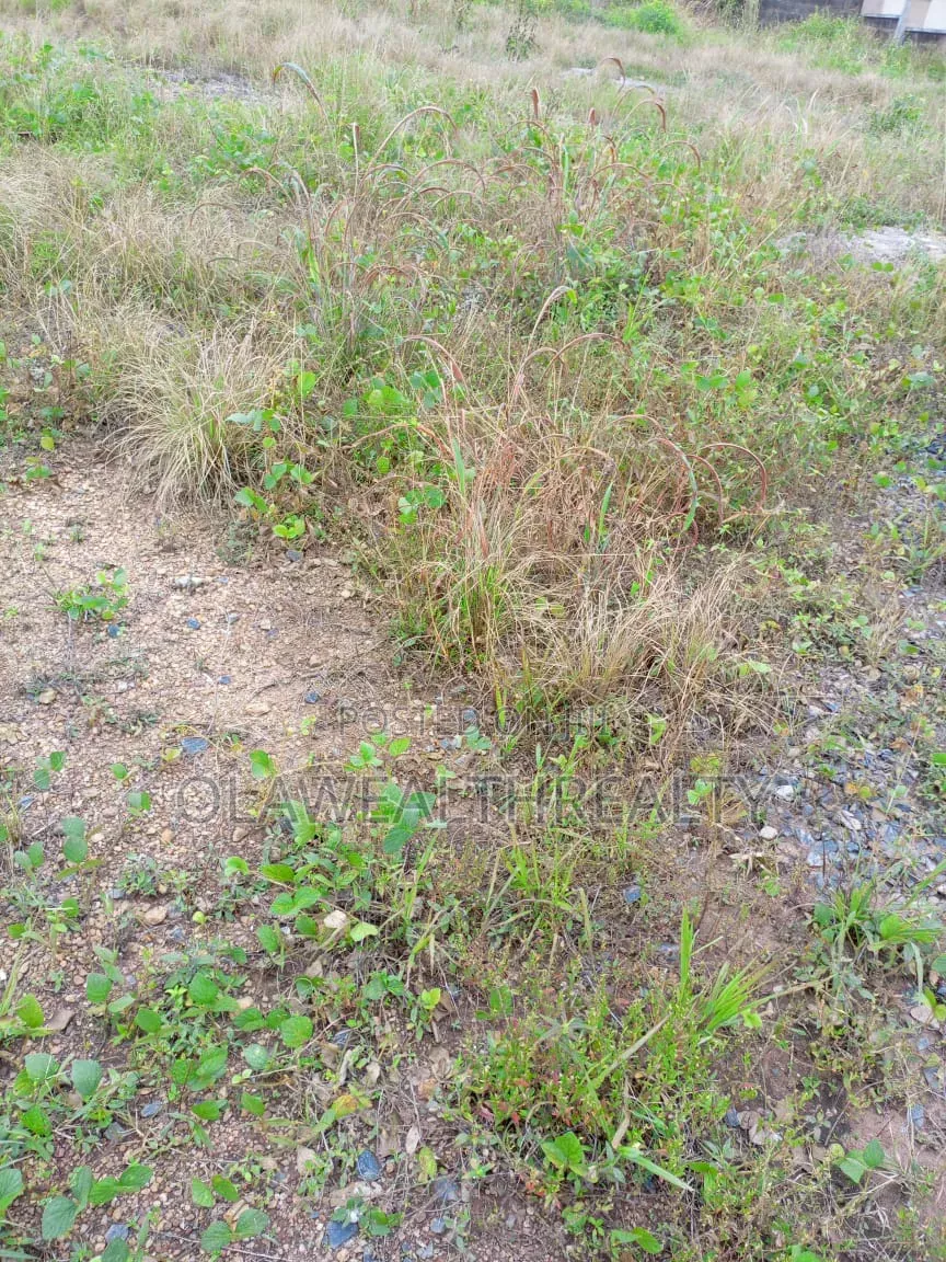 7,682sqm Residential Land at Gudu in Apo Resettlement