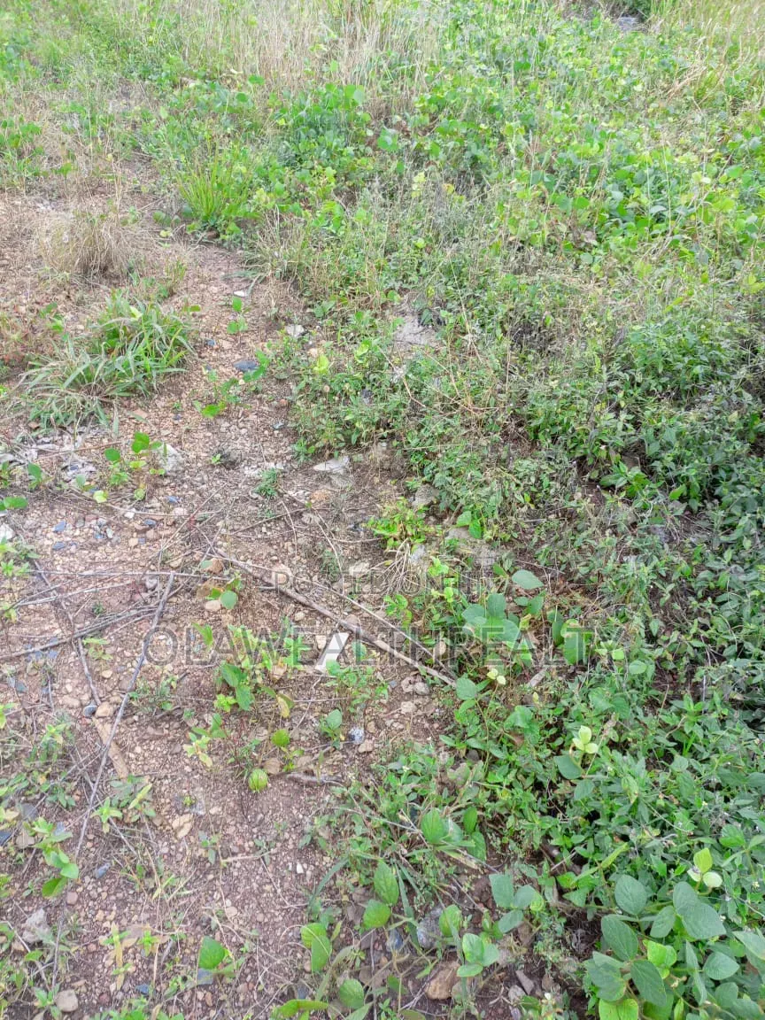 7,682sqm Residential Land at Gudu in Apo Resettlement