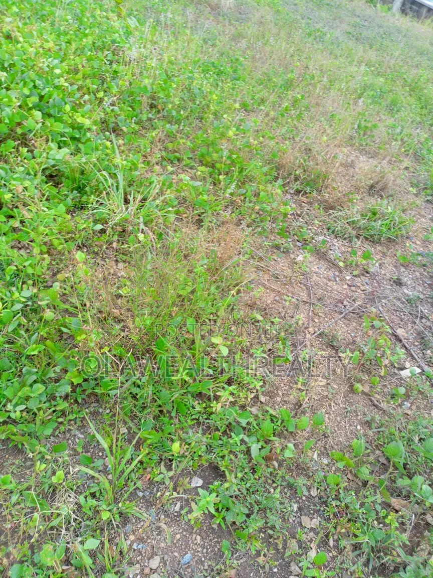 10 Plots of Land at Kuruduma in Kurudu