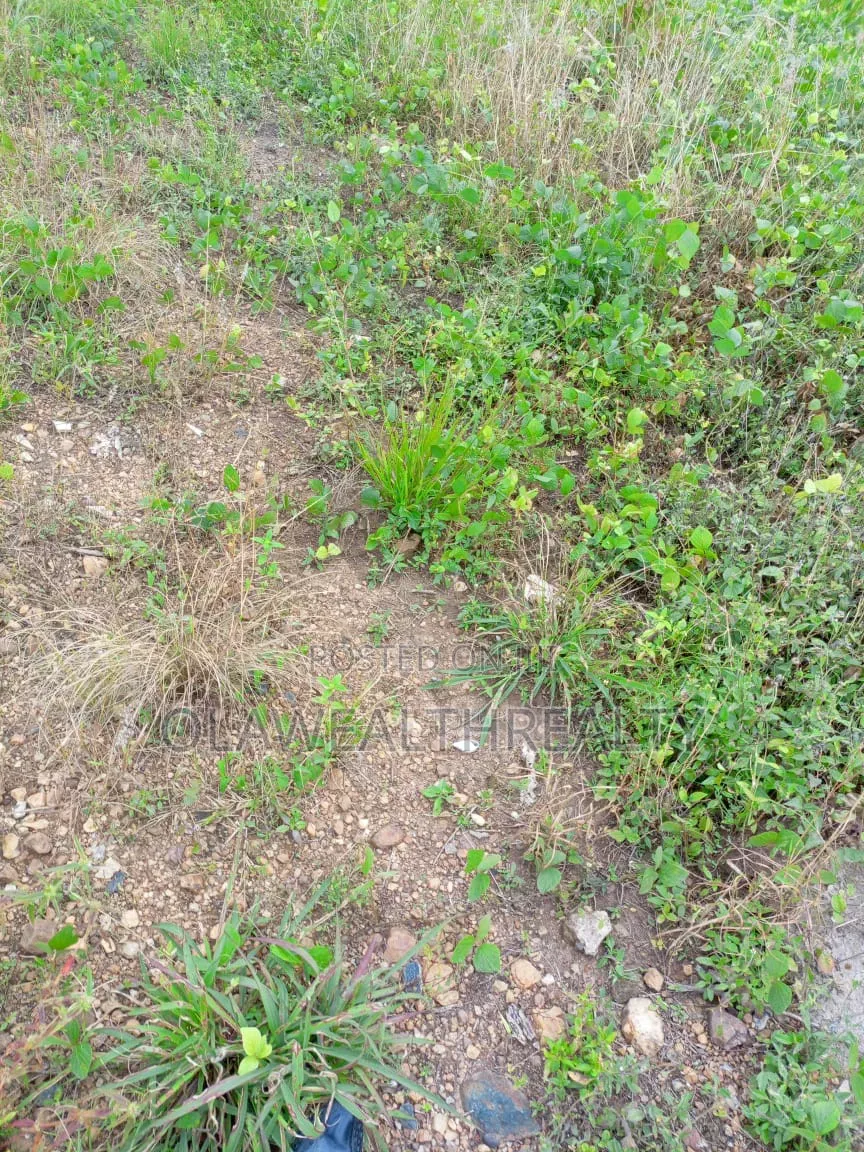 10 Plots of Land at Kuruduma in Kurudu