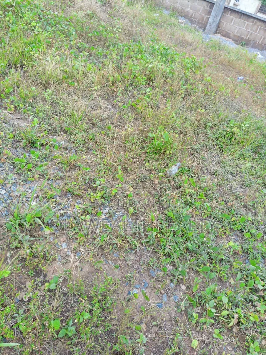 8,289sqm Residential Plot at Dakibiyu in Dakibiyu