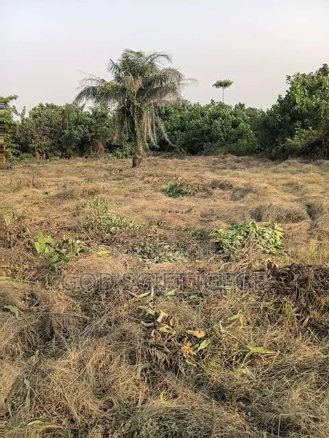 Table Dry Land in Fast Developing Location in Obrikwere in East West Road