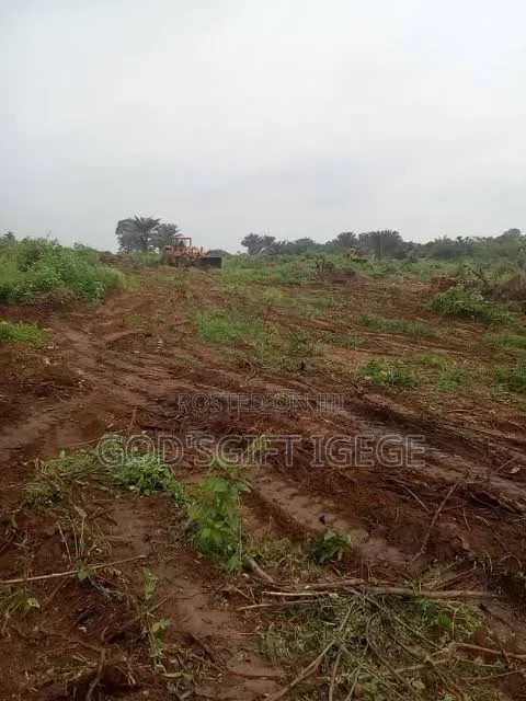 Table Dry Land in Fast Developing Location in Obrikwere in East West Road