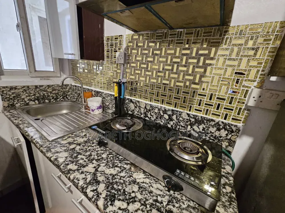 Furnished 1bdrm Apartment in Lekki Phase 1 for rent in Lekki Phase 1