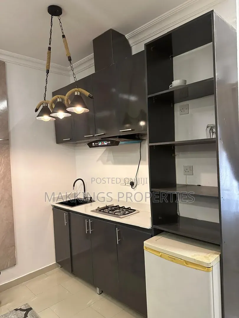 Furnished Mini Flat in Lekki Phase 1 for rent in Lekki Phase 1