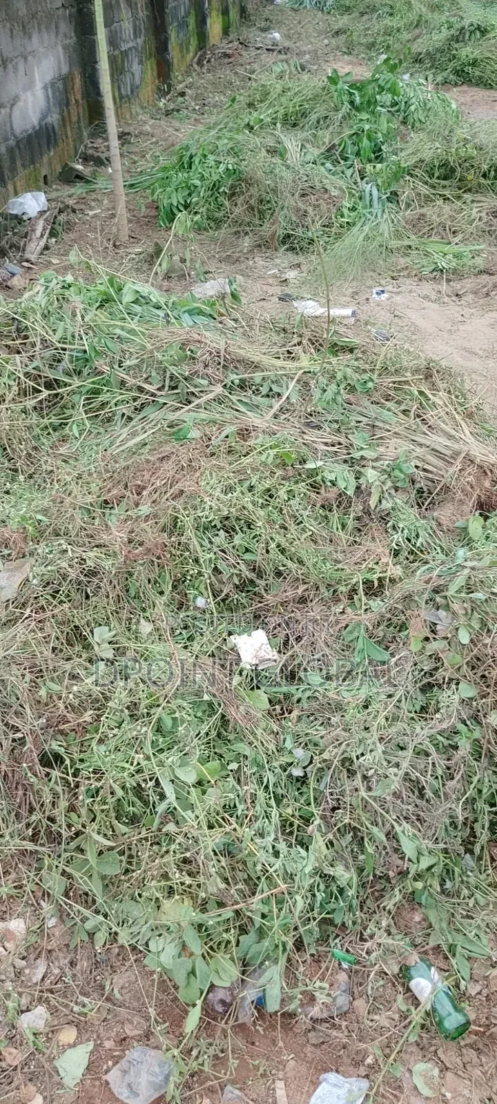 Half Plot in Vip Garden Estate (P and T) , Ipaja in Boys Town