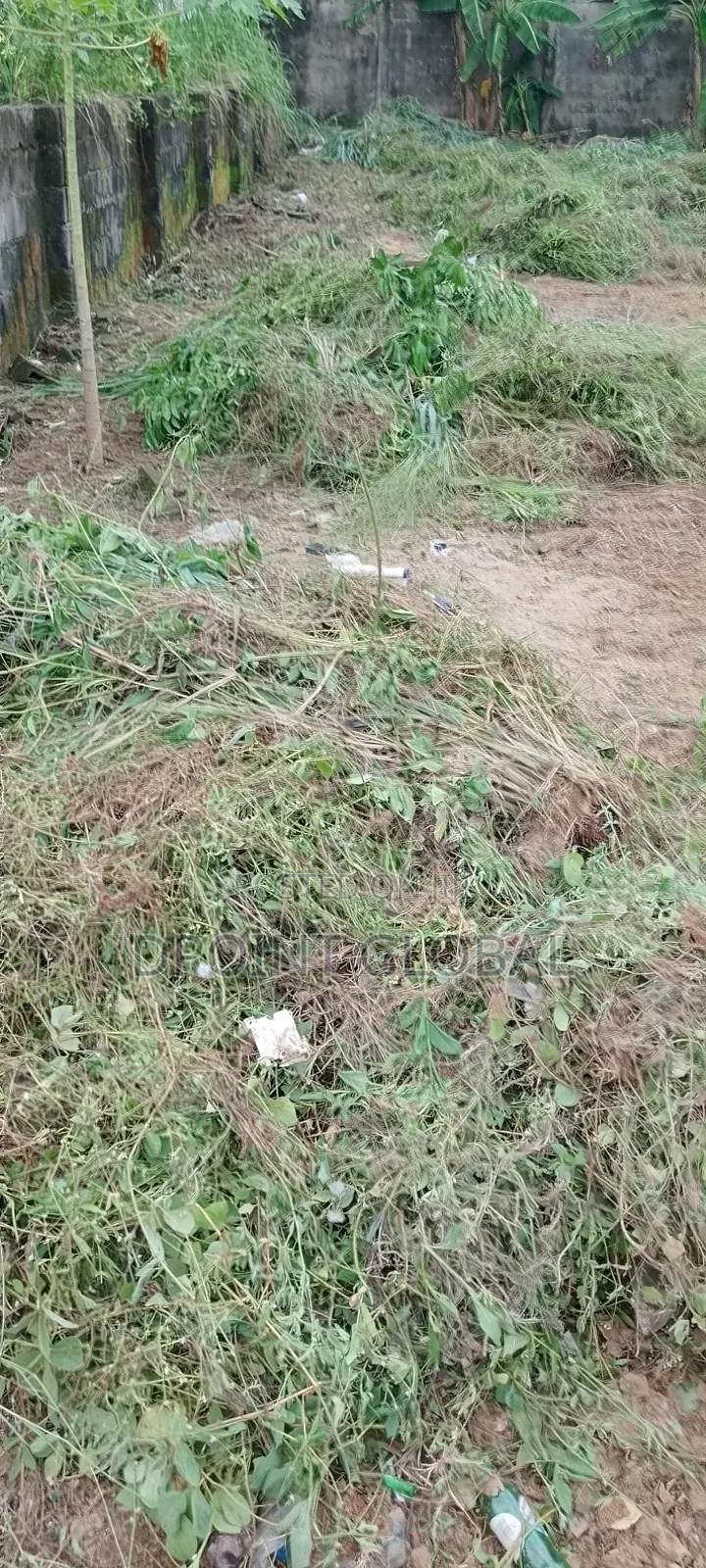 Half Plot in Vip Garden Estate (P and T) , Ipaja in Boys Town