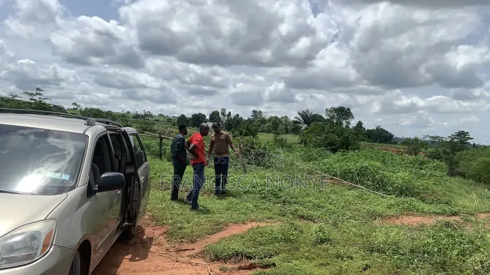 Buy Early to Secure a Better Roi at Isselle Asagba in Oshimili South