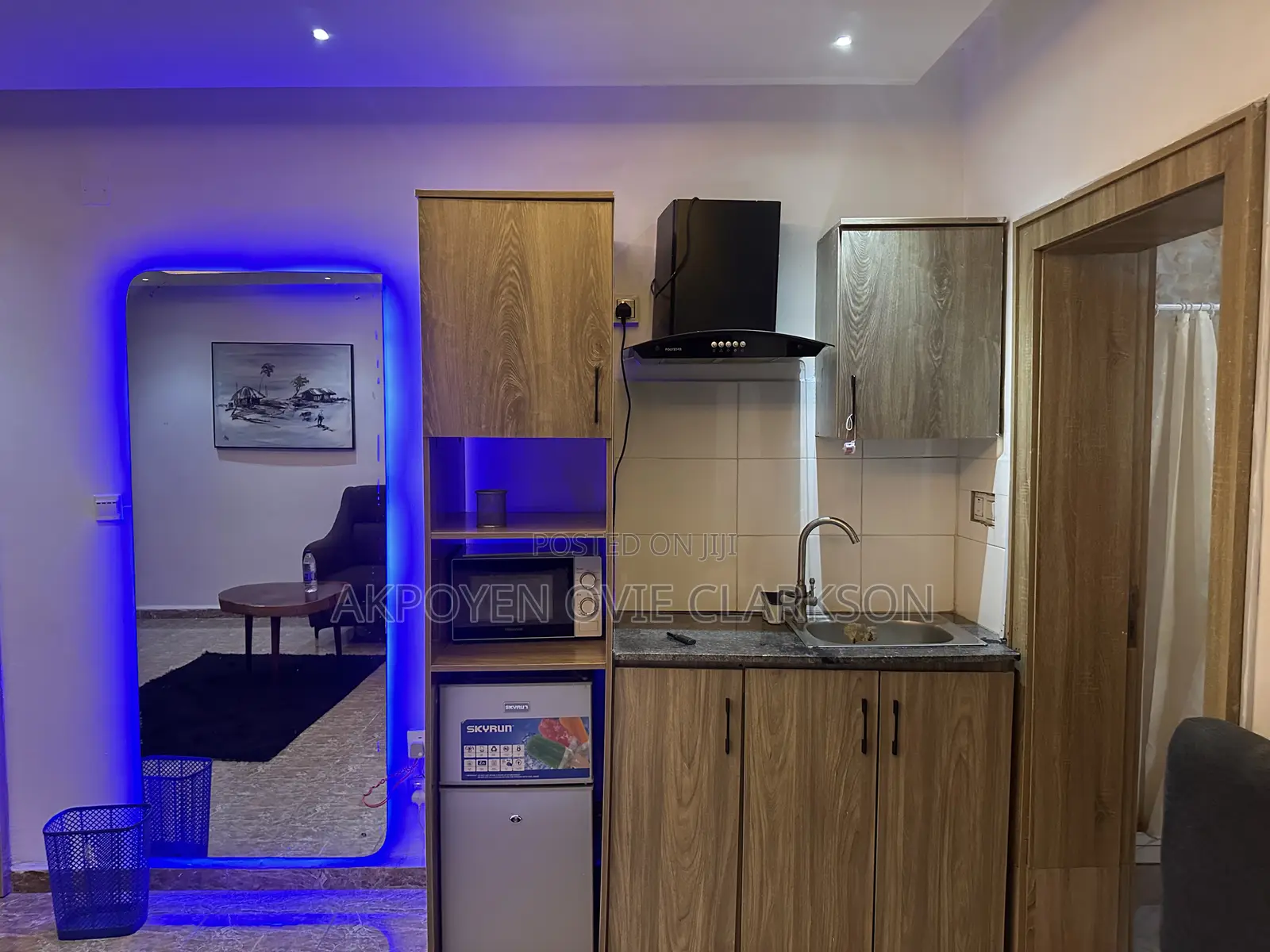 Furnished Studio Apartment in Garki 2 for rent in Garki 2