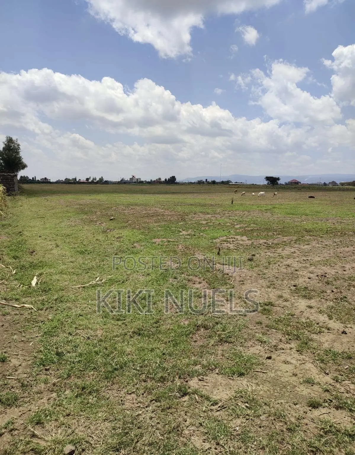 Caraway Dallas Fcda Approved Plot for Sale in Asokoro