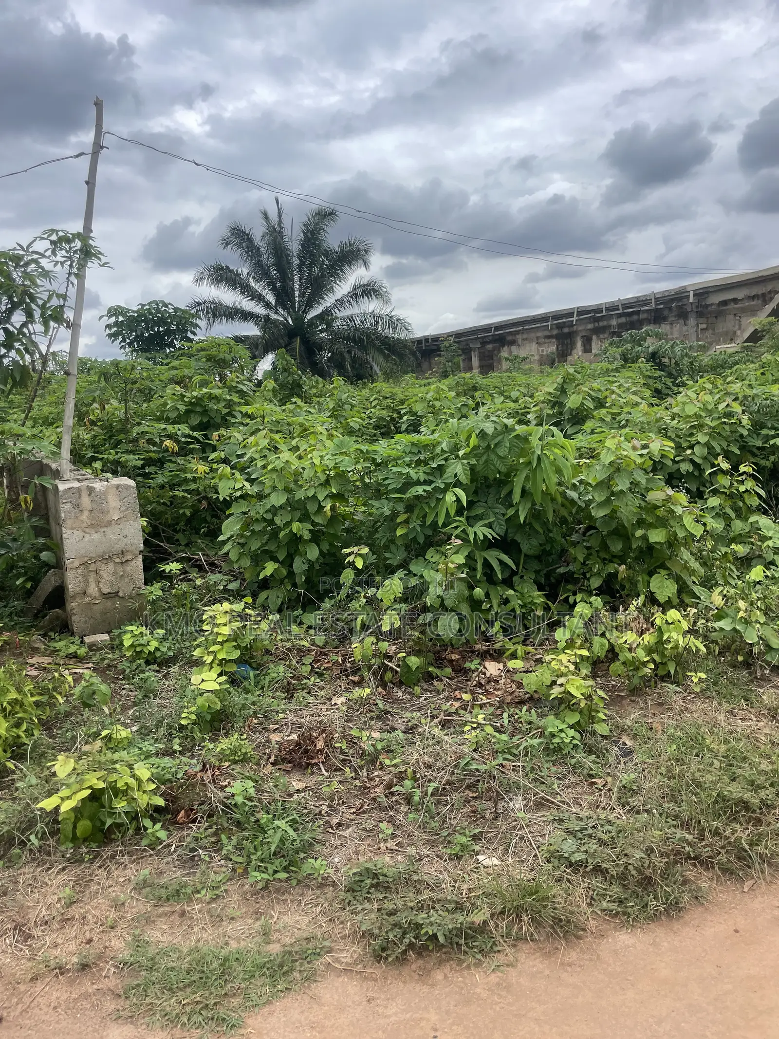 50 by 100 Uwusan Community Along Sapele Road Bypass in Benin City
