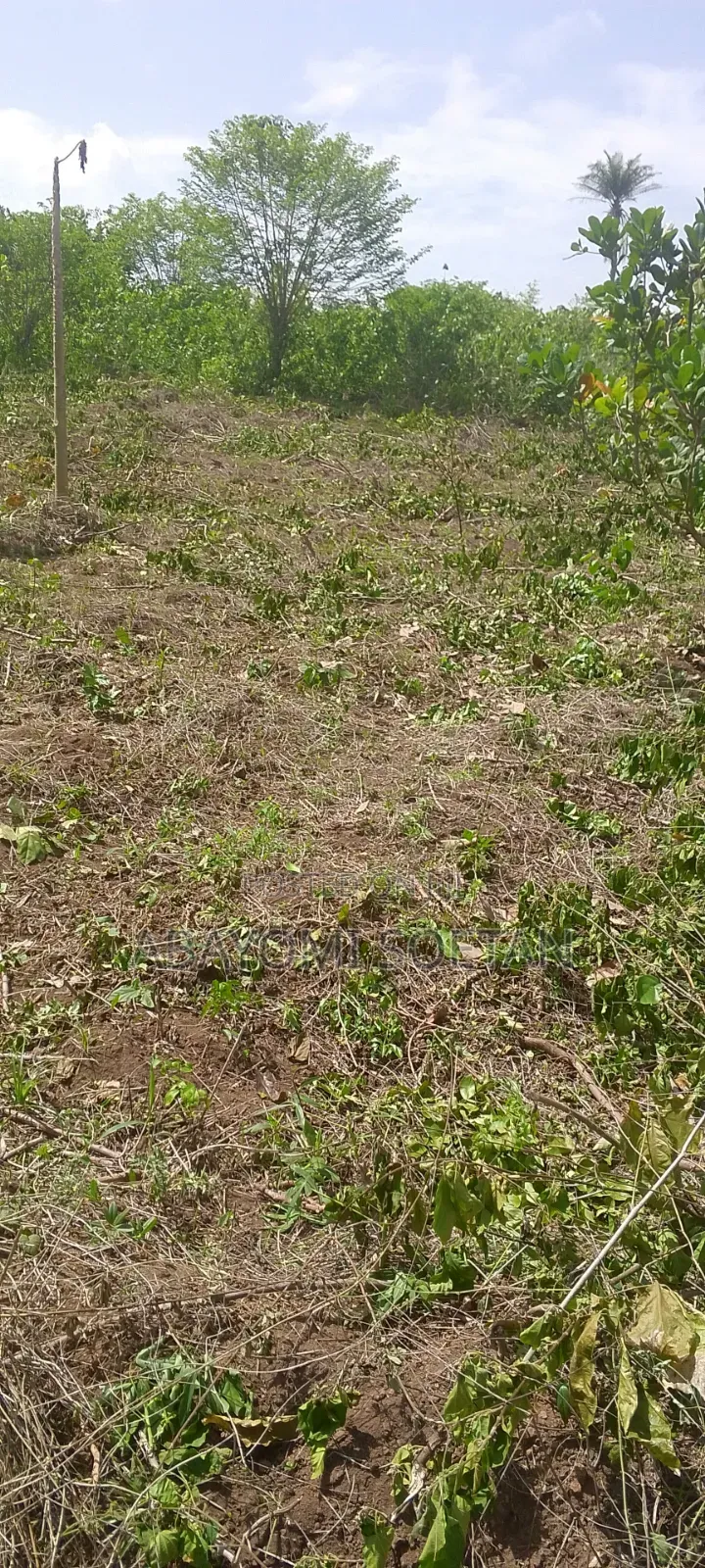 A Plot of Land Measuring 539 SQM at Obada, Abeokuta,Ogun State. in Ewekoro