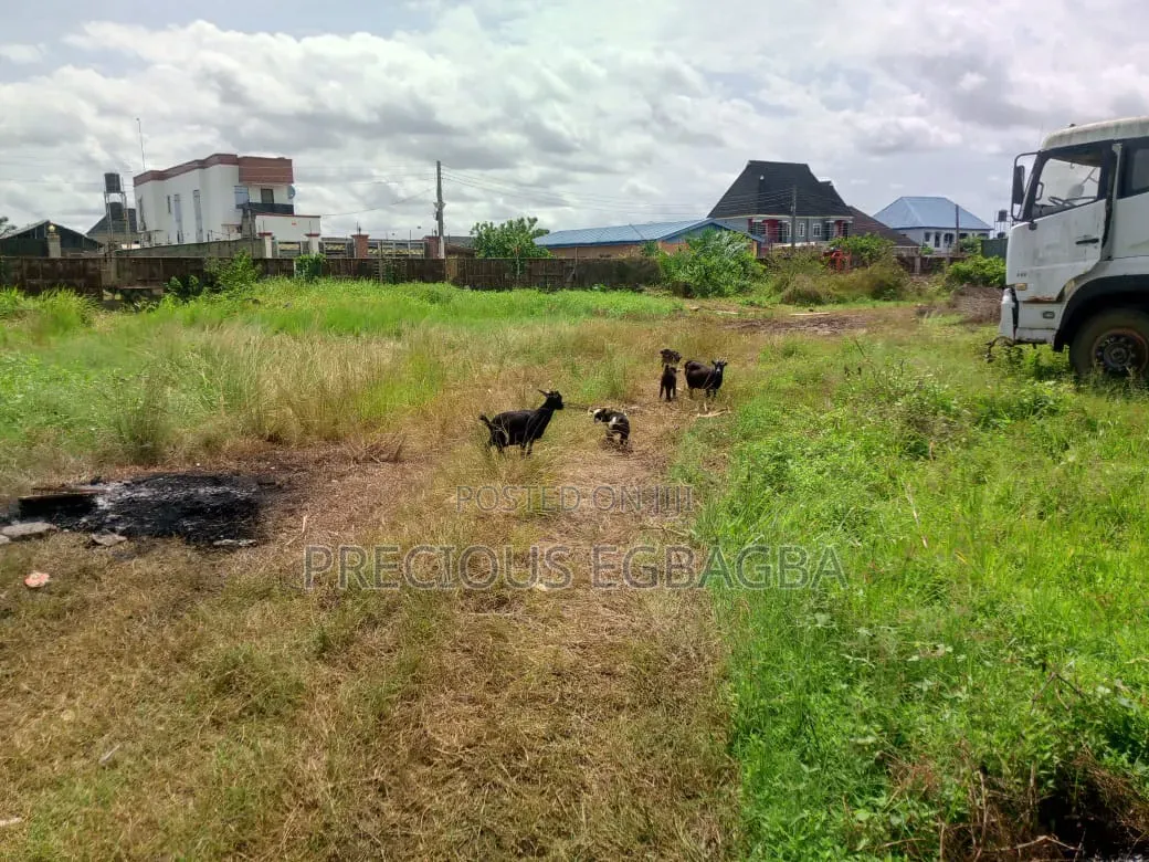 6 Plots of Land of Dry Land at Ijedodo Close to Jakande Estate Isolo in Isolo