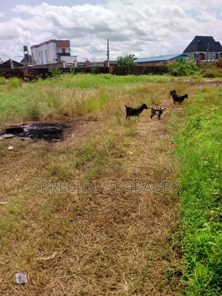 6 Plots of Land of Dry Land at Ijedodo Close to Jakande Estate Isolo in Isolo