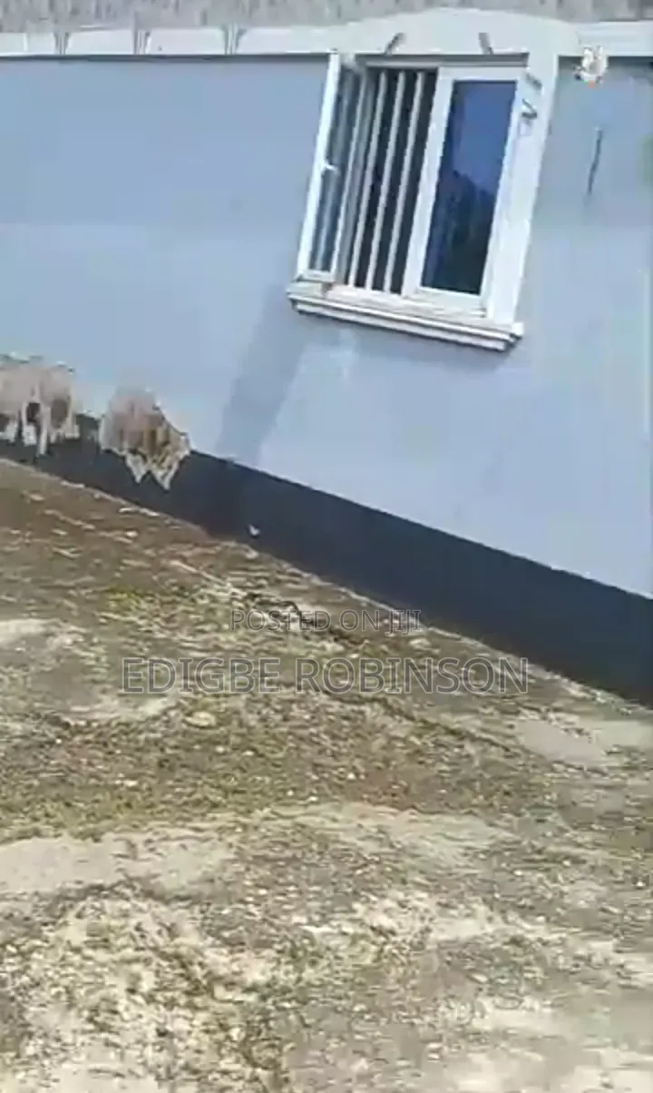 5bdrm Bungalow in Ugbokodo Estate, Warri for sale in Warri