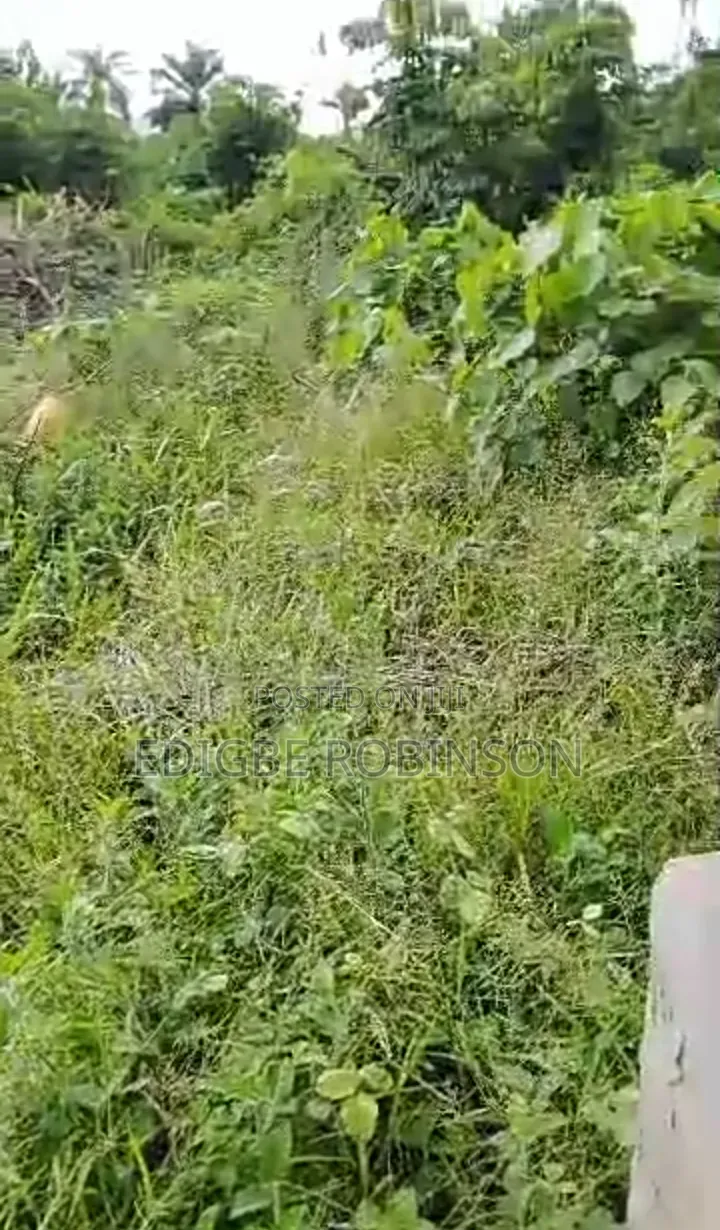 Land for Sale in Niger Cat Warri in Warri