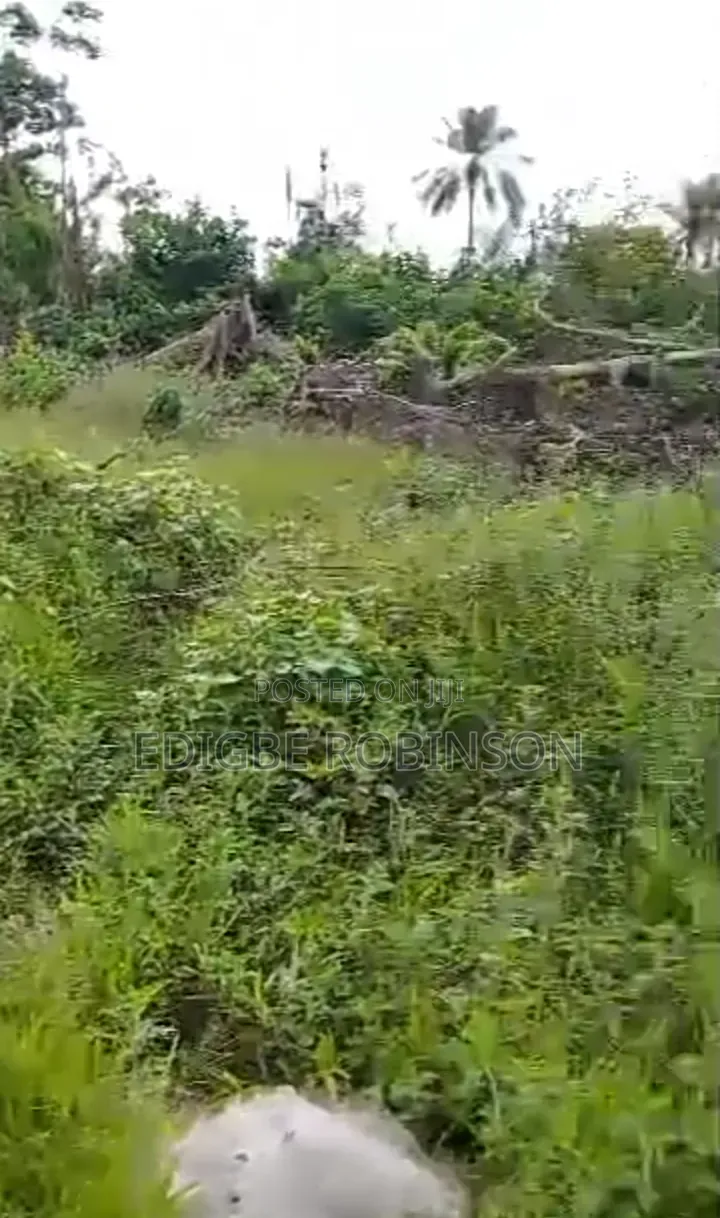 Land for Sale in Niger Cat Warri in Warri