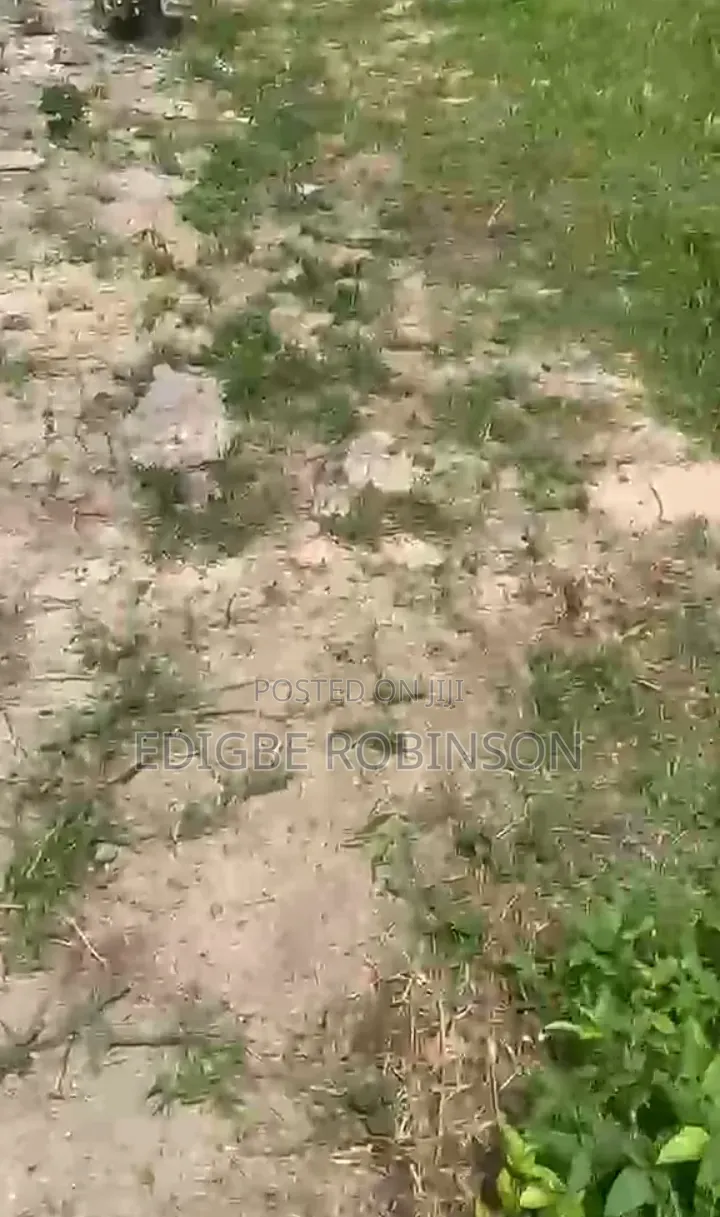 3 Plots Of Land For Sale In Ugbokodo Okpe in Warri