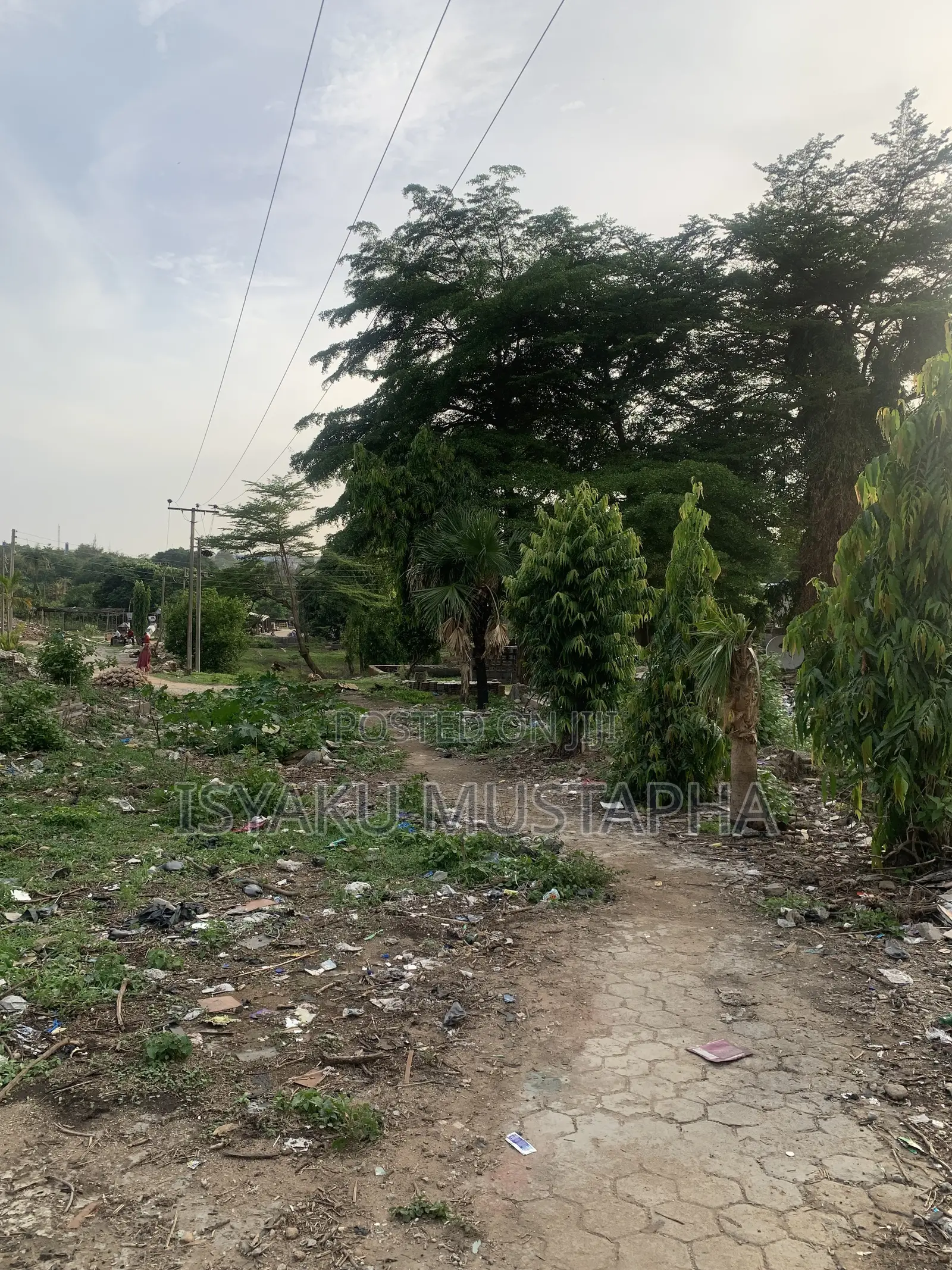 Certificate of Occupancy in Dakibiyu