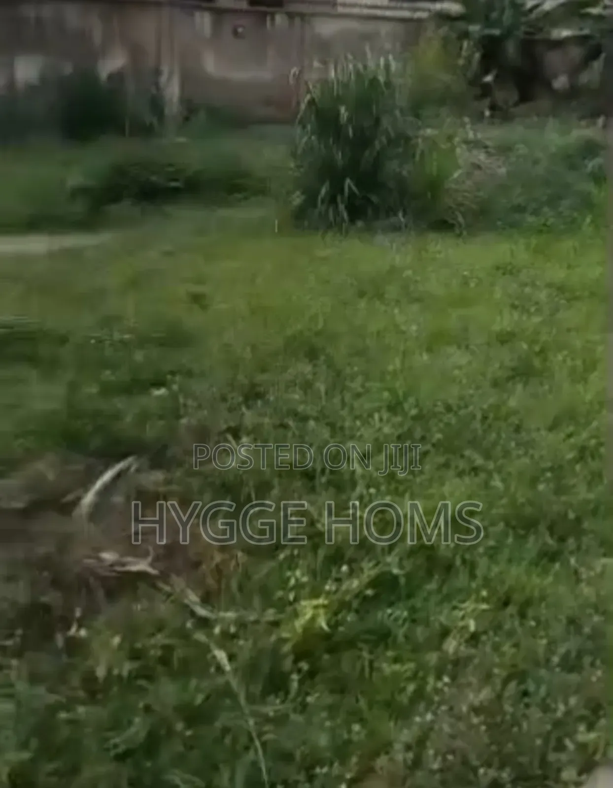 616sqm Land Abimbola Awoliyi Estate Cofo in Oko-Oba