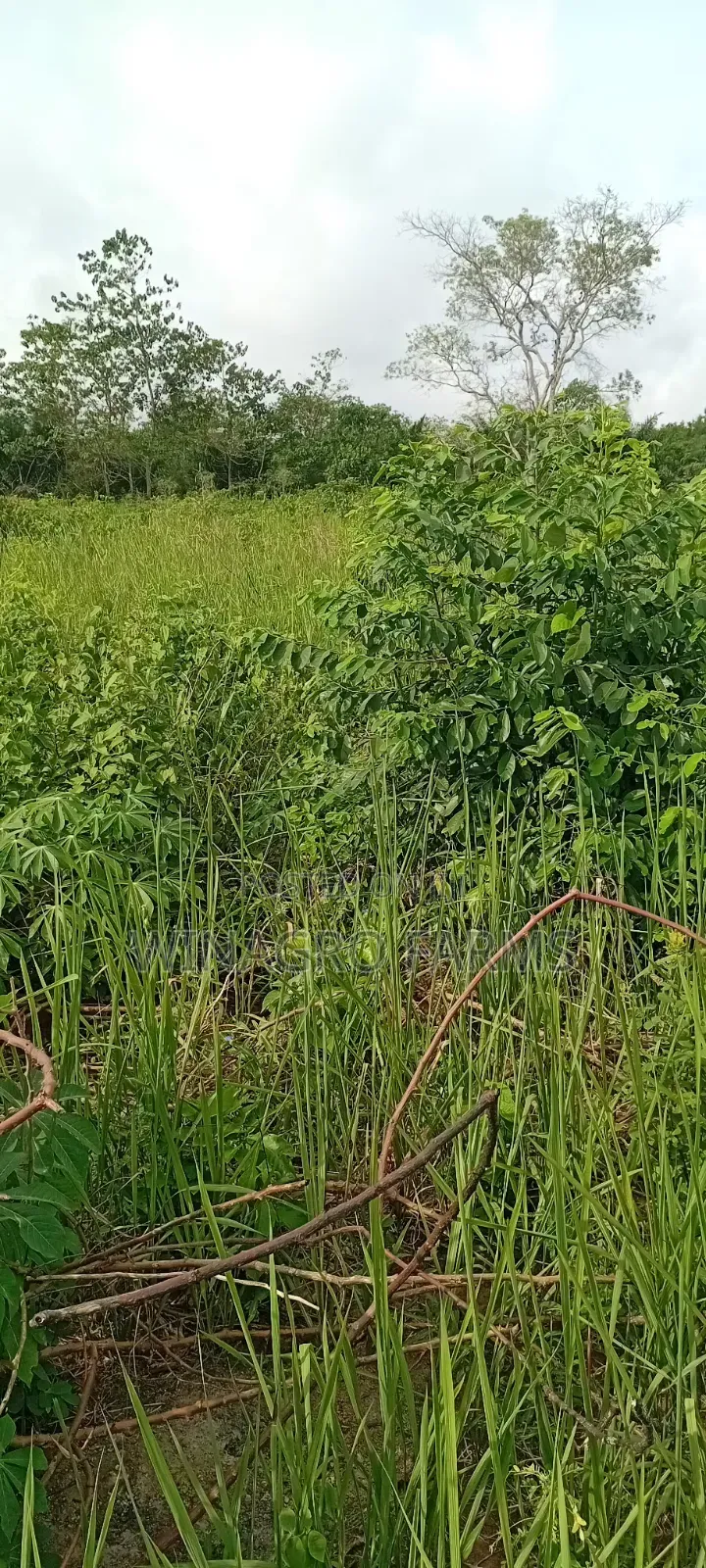 Farmers Hub Agric Land in Abeokuta South