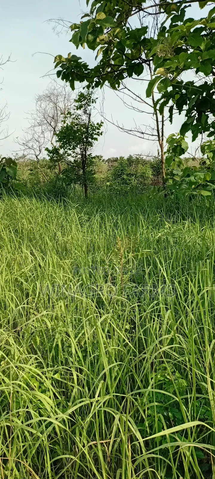 Farmers Hub Agric Land in Abeokuta South