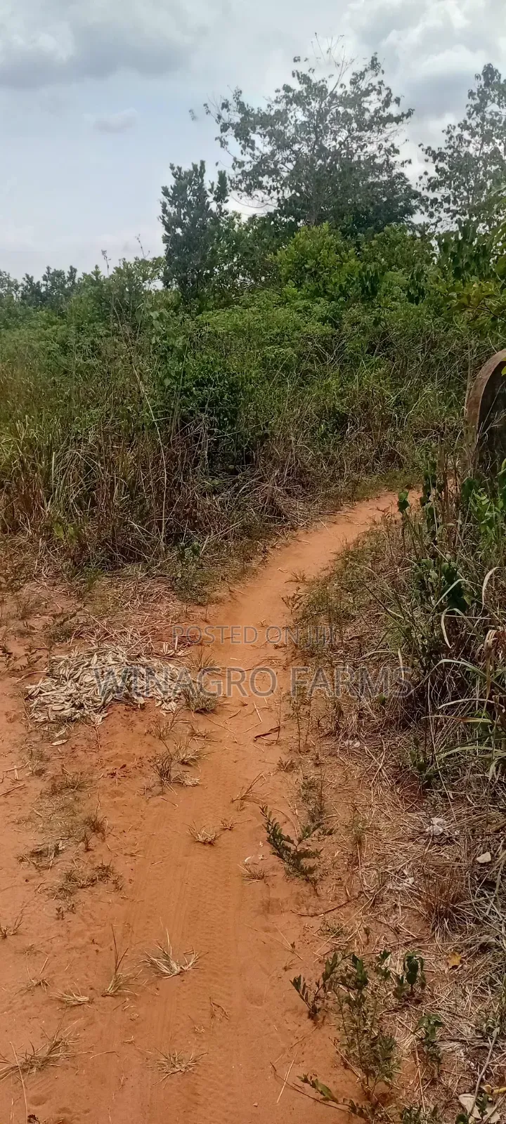 Farmers Hub Agric Land in Abeokuta South